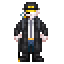 Veteran Security Advisor.png