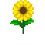 Файл:Sunflower.png