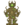 Diona.png